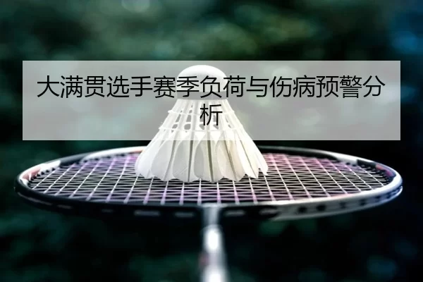 大满贯选手赛季负荷与伤病预警分析