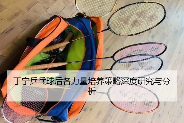 丁宁乒乓球后备力量培养策略深度研究与分析
